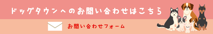 ドッグタウンへのお問い合わせはこちら