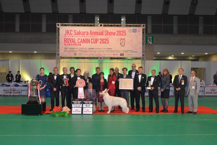 JKC Sakura Annual Show 2025