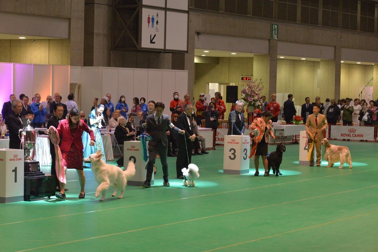 JKC Sakura Annual Show 2025